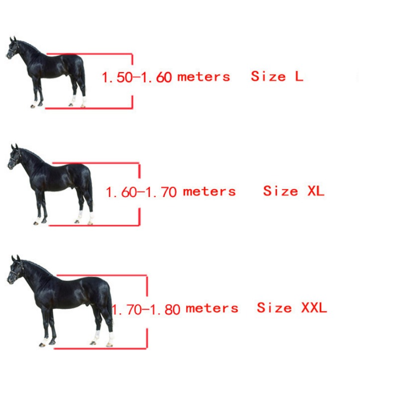 Horse Boots Open Front Jumping - Lunge Line Horse recension och pris