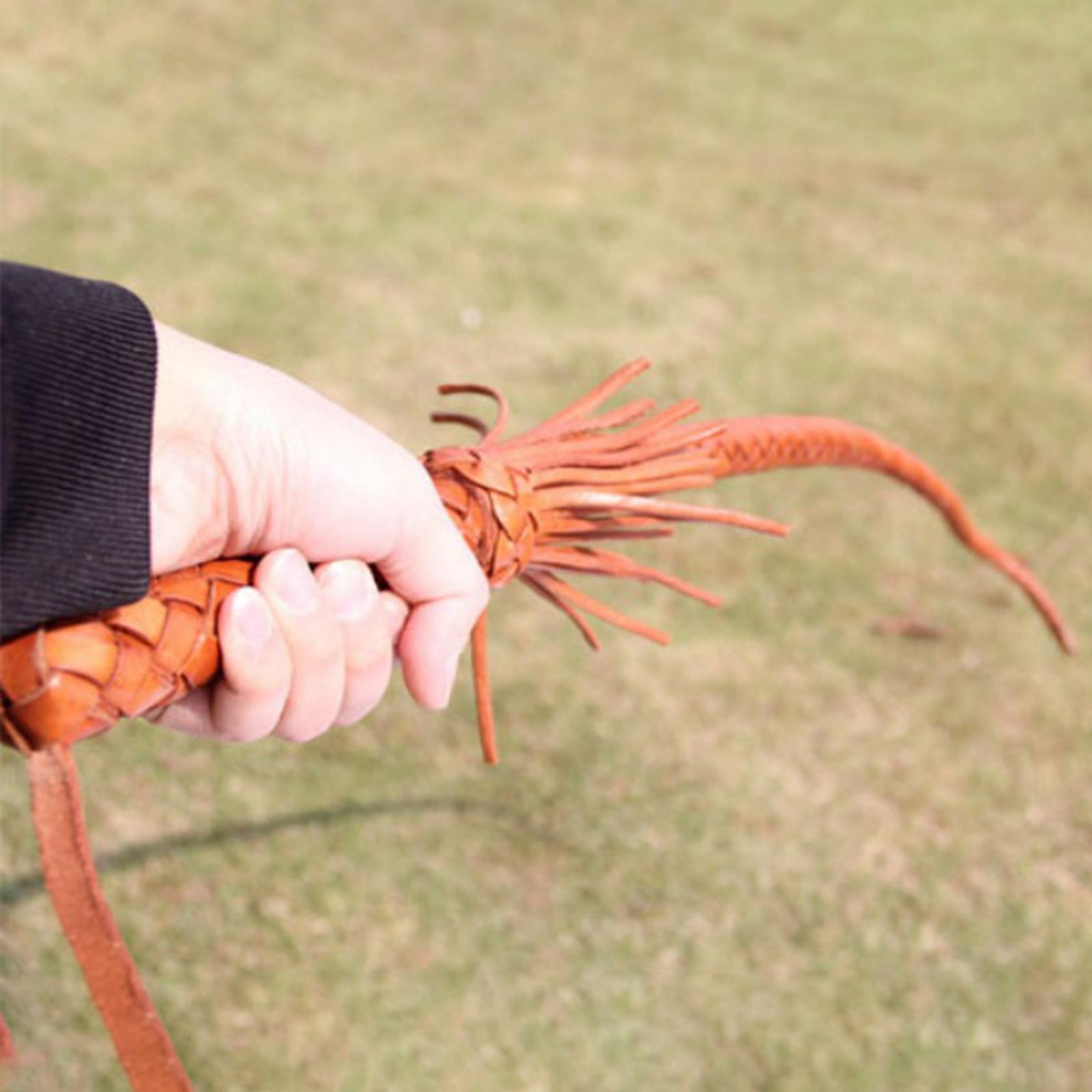 Outdoor PU Leather Horse Ridin - Riding Crop Dressage recension och pris