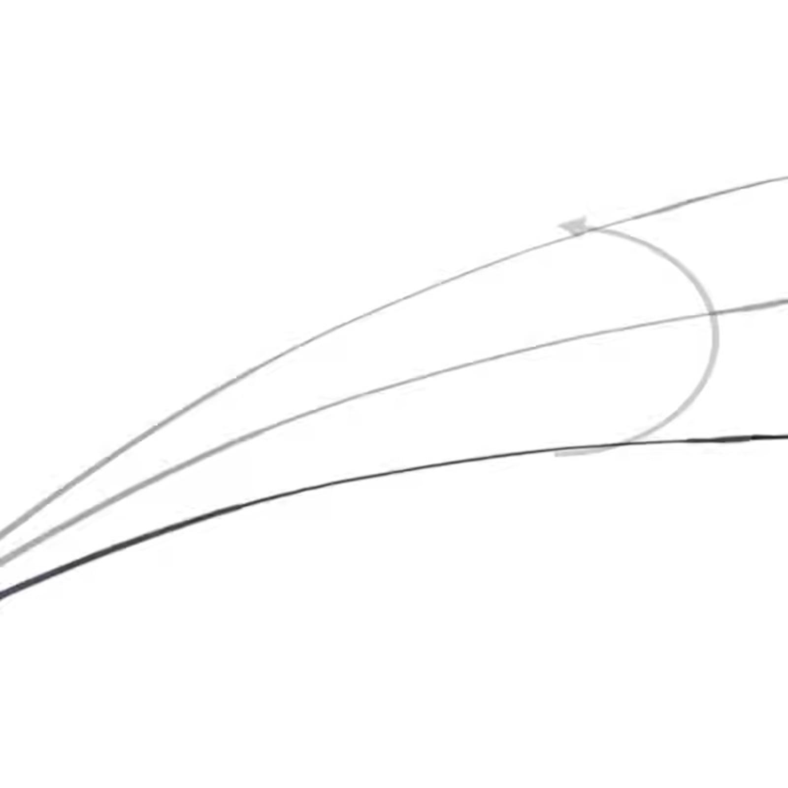 Horse Riding Crop Equestrian R - Riding Crop Dressage recension och pris