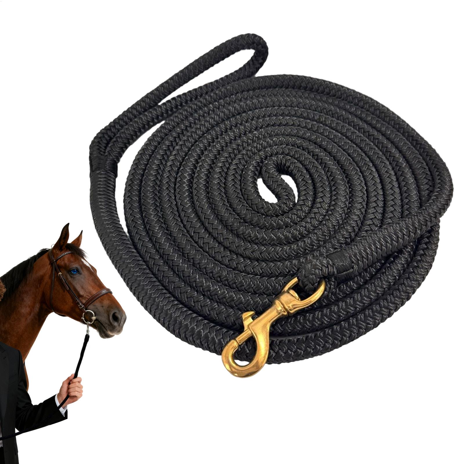 Horse Lunge Line Performance H - Lunge Line Horse recension och pris